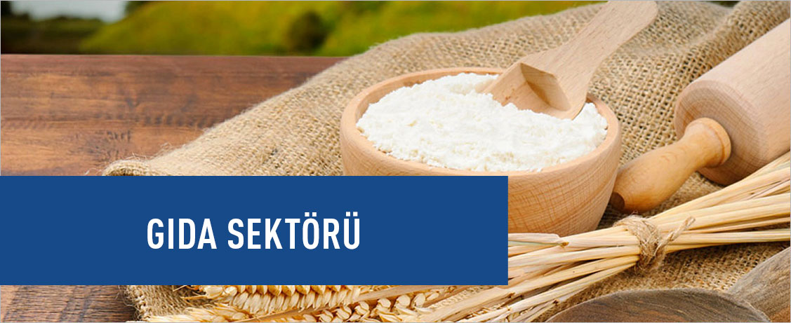Gida Sektörü
