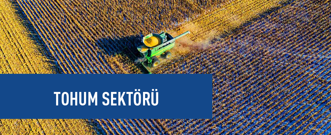 Gida Sektörü